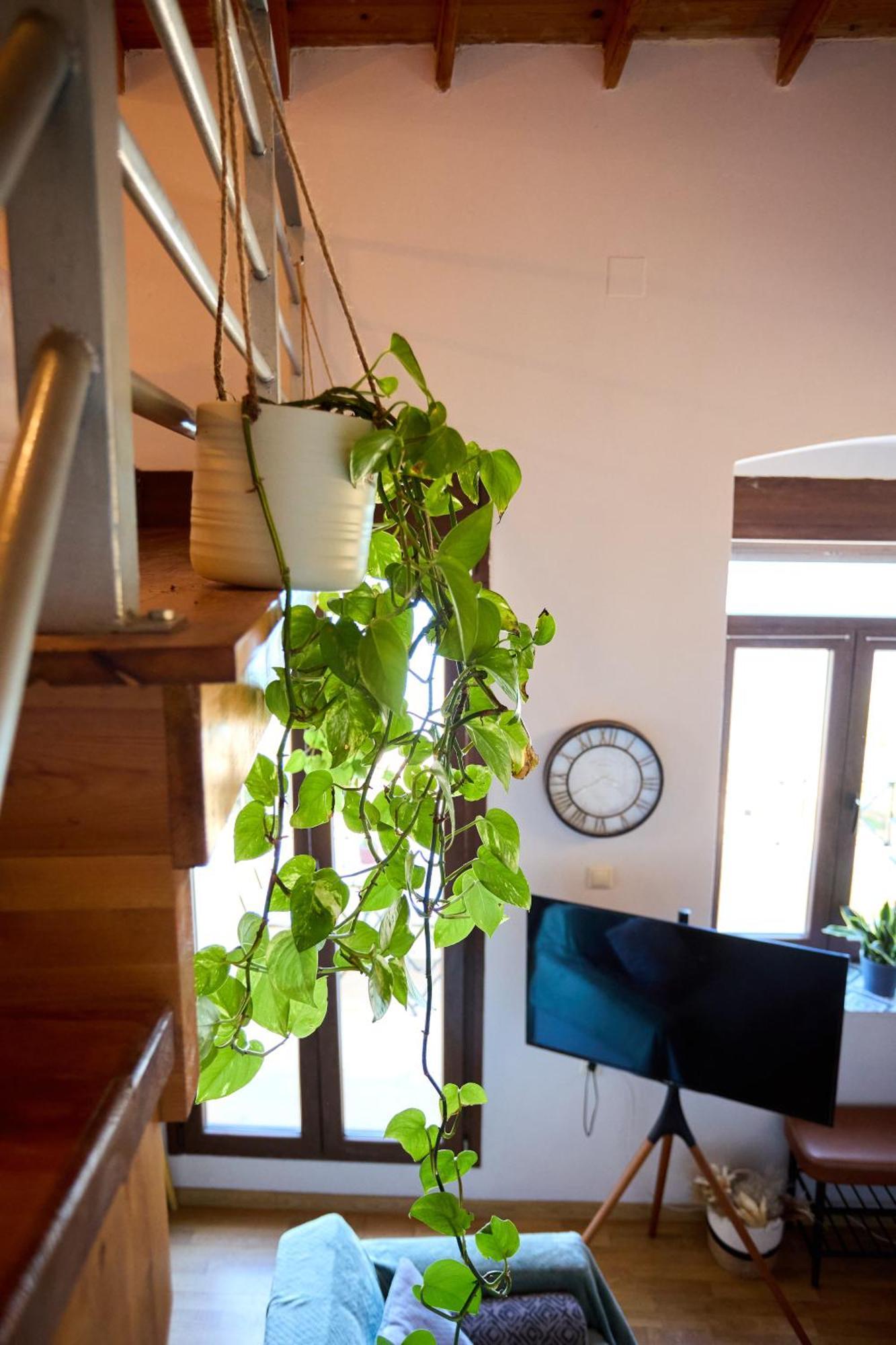 Windmills Apartments Chios Екстериор снимка