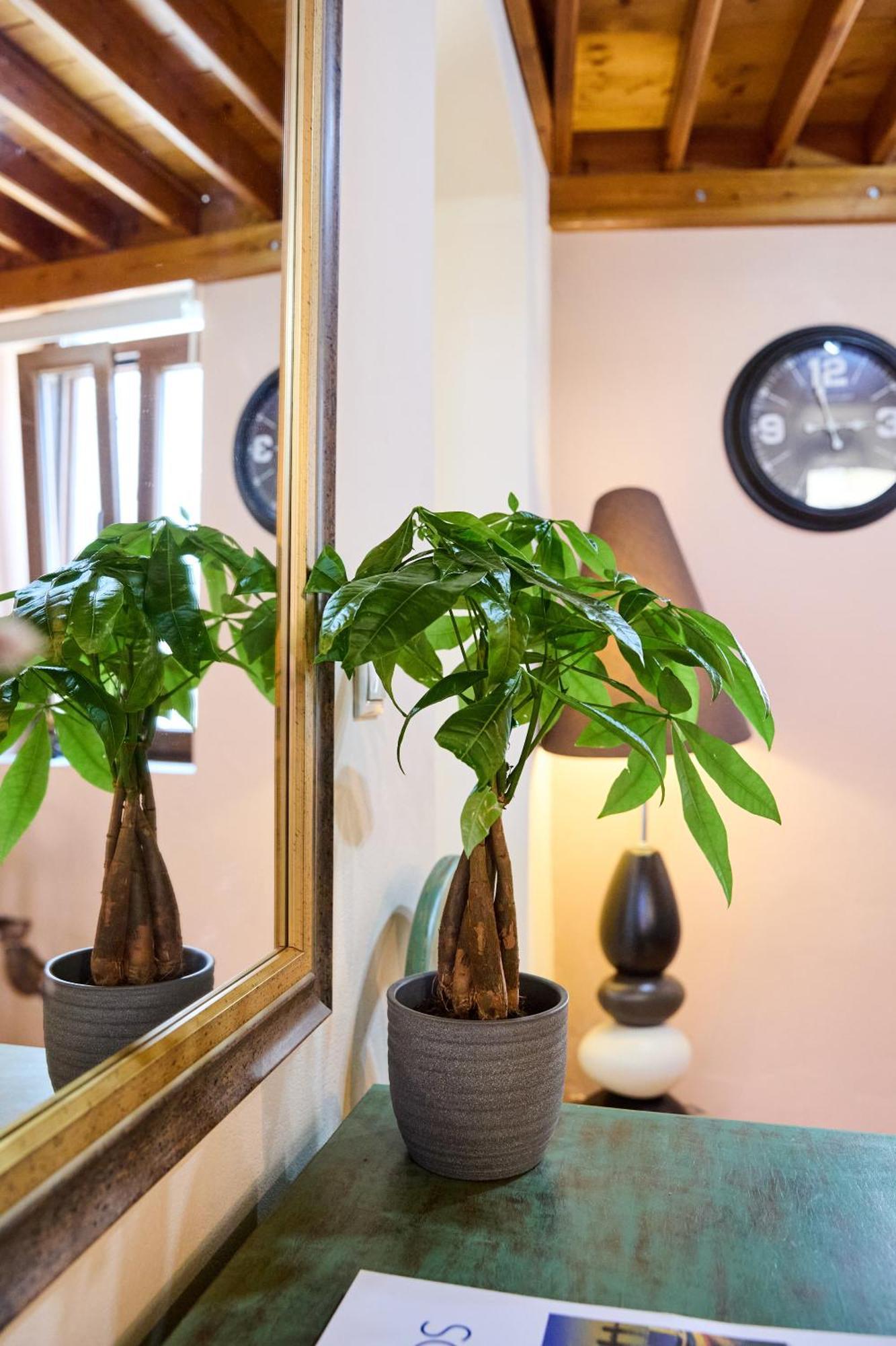 Windmills Apartments Chios Екстериор снимка